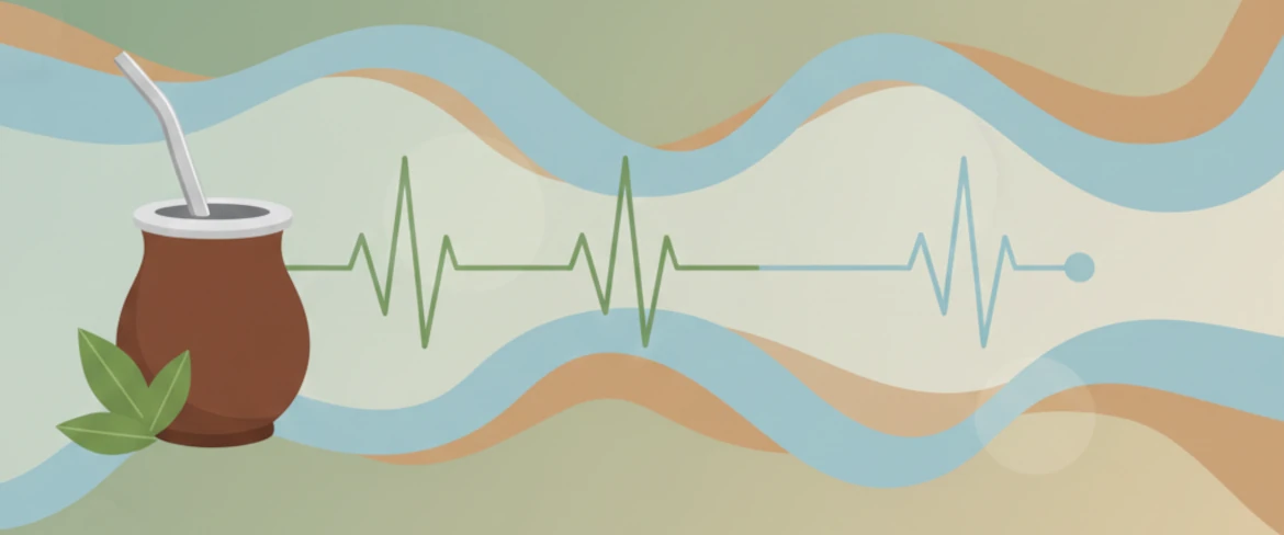 Єрба мате і артеріальний тиск – чи підвищує єрба мате артеріальний тиск і як діє кофеїн