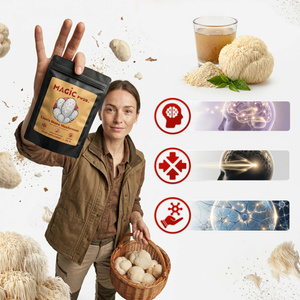 Magic Pwdr – Lion’s Mane – Їжовик гребінчастий 30 г