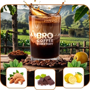 Набір Bro Coffee Roastery Brazil Samba + Brazil Guaxupe + Brazil Cerrado 3x1кг (3кг)