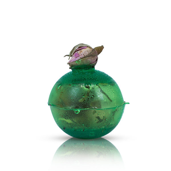 Mary Rose – Sunny Garden чайна бомба (міні)