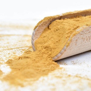 Vivarini – Lion’s Mane – Їжовик гребінчастий 100 г