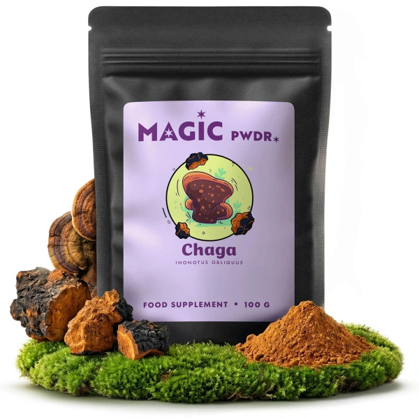 Magic Pwdr – Чага 100 г