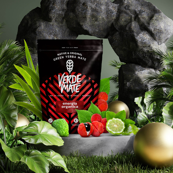 Тріо Yerba Verde Mate на START для початківців