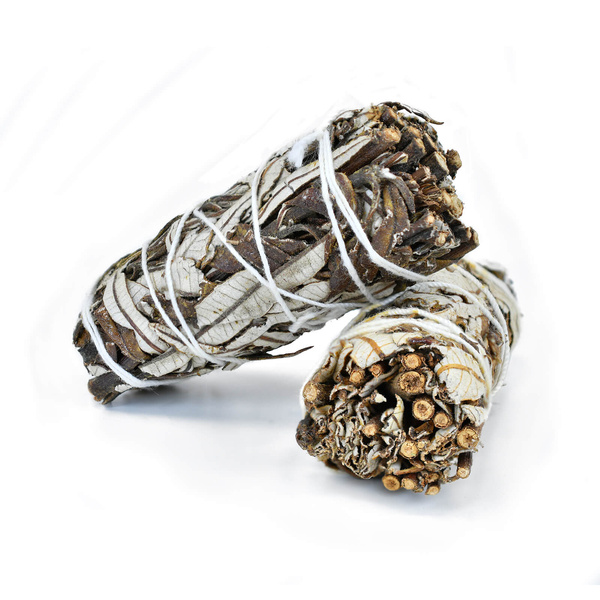 Шавлія біла з Yerba Santa (ерба-санта) – Пахощі 20-30г (пучок)