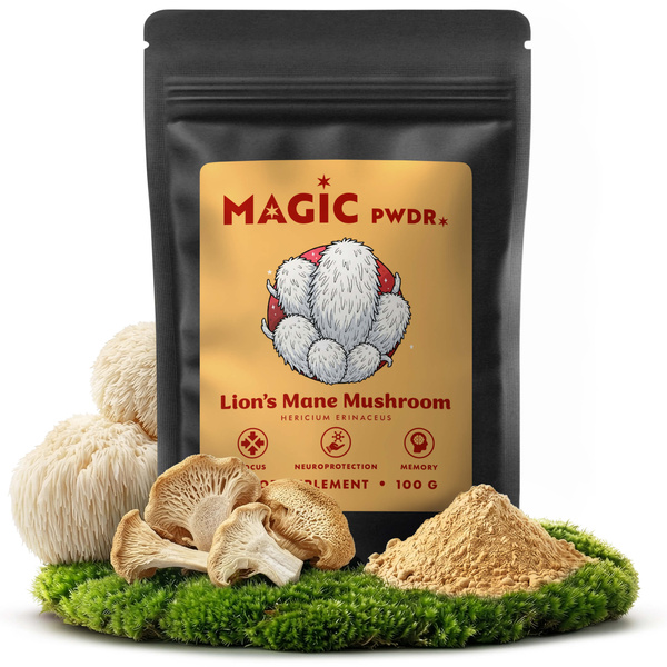 Magic Pwdr – Lion’s Mane – Їжовик гребінчастий 100 г