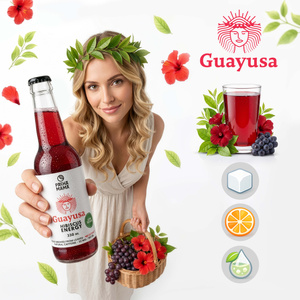 Guayusa Pachamama Cold Brew – Hibiscus Energy 330 мл