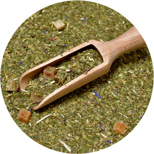 Тріо Yerba Verde Mate на START для початківців