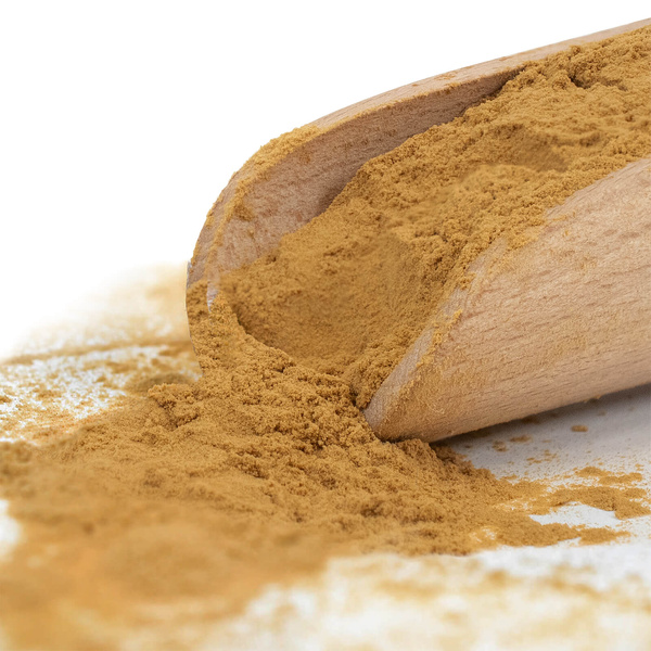 Magic Pwdr – Чага 100 г