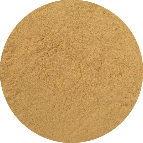 Magic Pwdr – Рейші 50 г