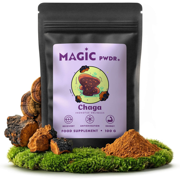 Magic Pwdr – Чага 100 г