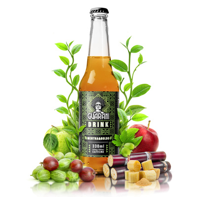 Guarani Drink – Холодний настій Єрба Мате – Mentha & Boldo 330 мл