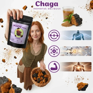 Magic Pwdr – Чага 50 г