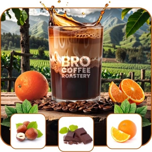 Набір Bro Bro Coffee Roastery Brazil Guaxupe + Brazil Samba 2x1кг (2кг)