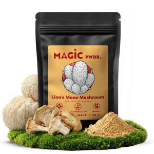 Magic Pwdr – Lion’s Mane – Їжовик гребінчастий 50 г