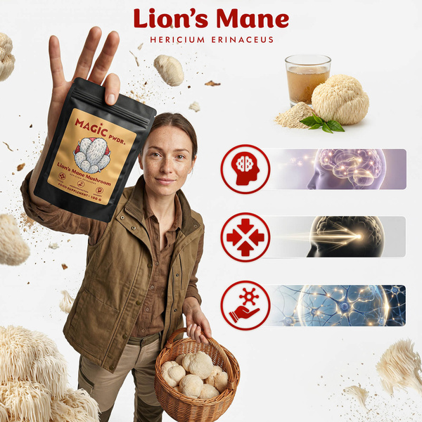 Magic Pwdr – Lion’s Mane – Їжовик гребінчастий 100 г