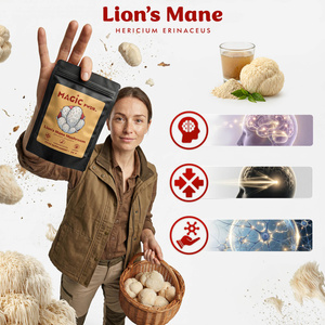 Magic Pwdr – Lion’s Mane – Їжовик гребінчастий 30 г