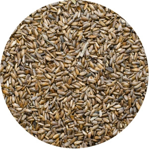 Vivarini – Розторопша плямиста (насіння) 1 кг