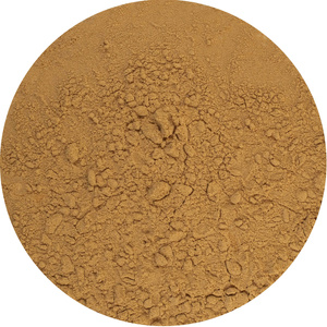 Magic Pwdr – Чага 100 г