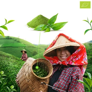 Mary Rose – Матча Латте (BIO) 30 г