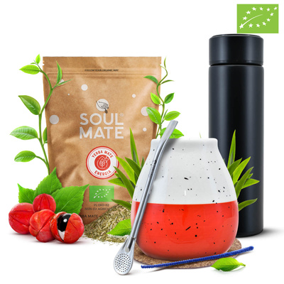 Набір Yerba Soul Mate Energia 500г + термос