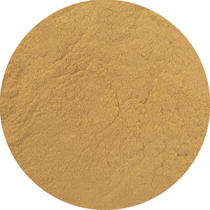 Magic Pwdr – Рейші 30 г