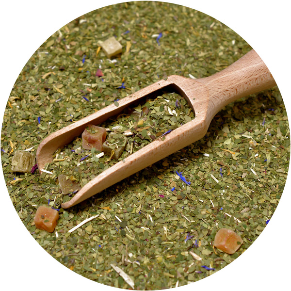 Тріо Yerba Verde Mate на START для початківців